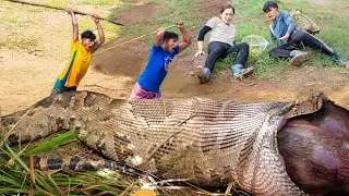 The horrifying scene the female hunter witnessed. A giant python attacks wild boar