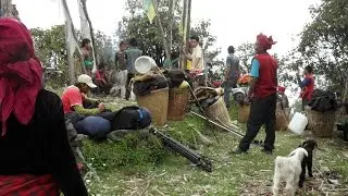 Tour in Nepal Ganesh Himal ( Dhading Nuwakot Rasuwa Ruby Valley) by   TAAN