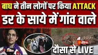 Dausa Tiger Attack LIVE Update: सुनाई दी टाइगर की दहाड़, खौफ में ग्रामीण | Rajasthan News