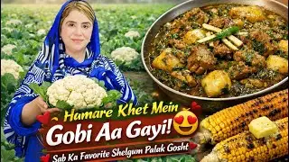 Finally Hamare Khet Mein Gobi Aa Gayi 😍 | Sab Ka Favorite Shelgum Palak Gosht 😋 @Afshanyasirvlog 