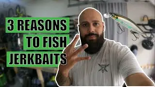 Why Jerkbaits are my FAVORITE Lure for Kayak Fishing Bass