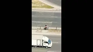 Старый сайгак с внуком в Казахстане