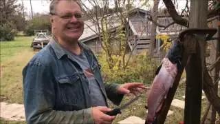 Cleaning catfish from aquaponics system using a 6