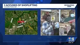 3 women wanted for shoplifting at T.J. Maxx, police say