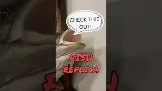 От пустого пространства к басу 🎨🐟