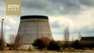 Fire engulfs large parts of Chernobyl exclusion zone