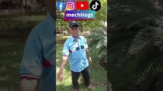 Hoy si enojó #Zuñiga a #Mechito 🤬