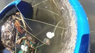 Trash Collection Device Could Help Keep Denver's Waterways Clear