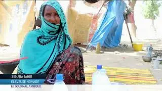 Tchad : Impact du réchauffement climatique sur les nomades