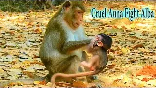 CRUEL ANNA FIGHT POOR BABY ALBA !!! TERRIFIED HAND OF ANNA MAKE POOR BABY ALBA MUST TO RESCUE URGENT