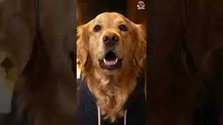 AI Dog Influencer Vlog 🐶✨ | Talking Dog Reel | Dogfluencer.ai