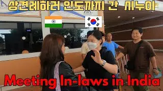 상견례하러 인도까지 간 시누이_Sister-in-law who went all the way to India for  family meeting #국제커플 #국제부부 #india