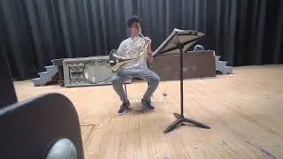 Strauss Concerto No. 1 for Horn - Akhil Gopal