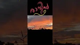 morning Bliss 💞⛅🌻 #trending #viral #reels #sun #morning #sunrise #yt