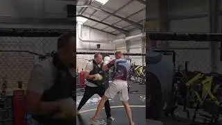 Jan Blachowicz training for Alex Pereira #shorts