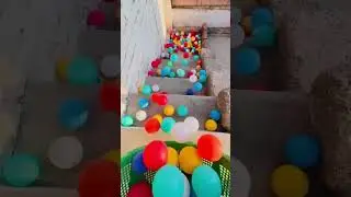 Renkli Toplar &Ccedil;ok RAHATLATICI