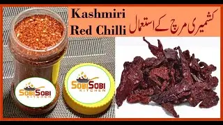 Kashmiri Chilli Uses / Kashmiri lal mirch ke faide or istamal