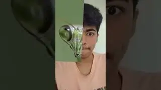 #skfv #tiktok