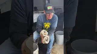 Начинаем 2026 год с потрясающей жеоды от KeokukGeodes! В @WoodiesRockShop