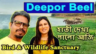Explore the Deepor Beel Wildlife Sanctuary 🐘 / Dipor Bil a lost paradise Assam / #tairabikramvlogs