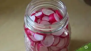 La Place How to Zelf radijs inmaken