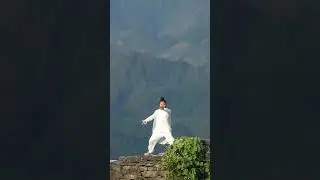Wudang Tai Chi Master Incredible Flow #shorts