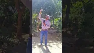 Sambhal Sri kalki vishnu mandir surprise you #sambhal