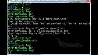 The Best Way to Rename Multiple Files at Once Using Examples