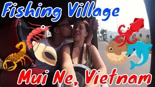 Smelly Fishing Village & Chaotic Market in Mui Ne, Vietnam