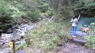 Природа и лук