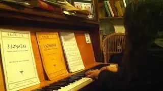 A Waltz in E minor - Natasha Kozaily