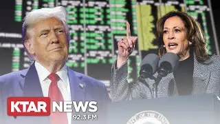 Election polls or election betting odds- which numbers should be trusted more?