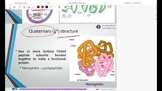 p2 Protein Innovation