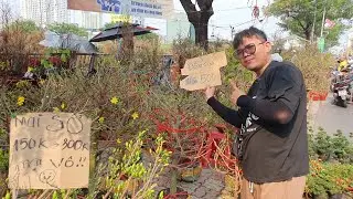 Bất ngờ Chiều 26 tết Chợ Hoa Bến Bình Đông xổ giá mai 150k, cúc 50k, quất 200 bà con ai cũng vui vẻ
