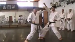 Intencionalidade e foco no oizuki e guiaku zuki em sanbon, ippon e jyu ippon kumite