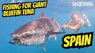 Giant Bluefin Tuna Fishing in Spain &ndash; Epic Big Game Adventure!