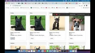 Blockchain project for Pet Adoption