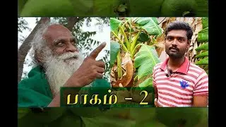 நம்மாழ்வாரின் கூற்றுப்படி- வீட்டை சுற்றி கட்டாயம் இருக்க வேண்டிய செடிகள்  மற்றும்  மரங்கள்.பாகம் - 2