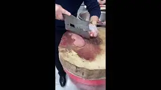 First-Person Kidney Prep | Knife Work & Organ Cleaning | No Commentary