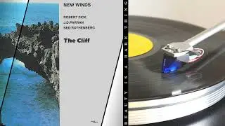 New Winds ✧ Beauty Is A Rare Thing ✧ Vinyl 💿