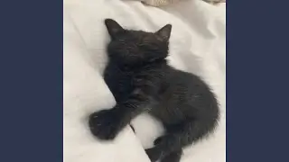 streeeeeetss