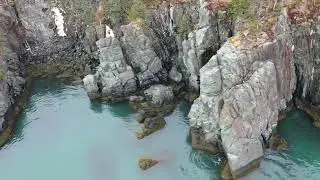 #WhereInMaine | Quoddy Head State Park