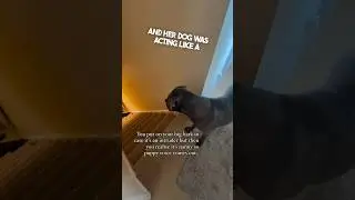 Her dog was acting tough for the intruder ❤️
