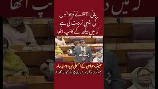 #HanifAbbasi Fiery Speech Slams #PTI Over Flood Tragedy Memes in #Parliament #Politics #News #Fyp