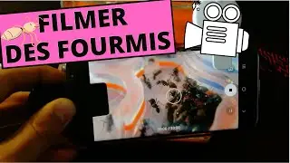 Mon mat&eacute;riel pour FILMER des fourmis !