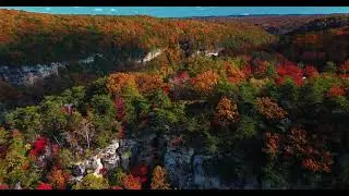 Stock footage - Drones footage forest in autumn (free download) (4K)