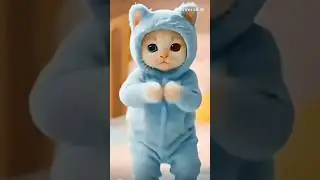 cute kittens dancing 🕺#shorts #shortsfeed #catdance #meowai