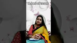 A bed of roses | A bed of roses meaning in hindi | A bed of roses ka kya matlab hota hai | #shorts