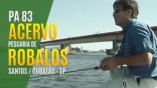 PESCARIA DE ROBALOS - NELSON NAKAMURA - [PESCA ALTERNATIVA - PGM 83]