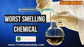 Worst Smelling Chemical